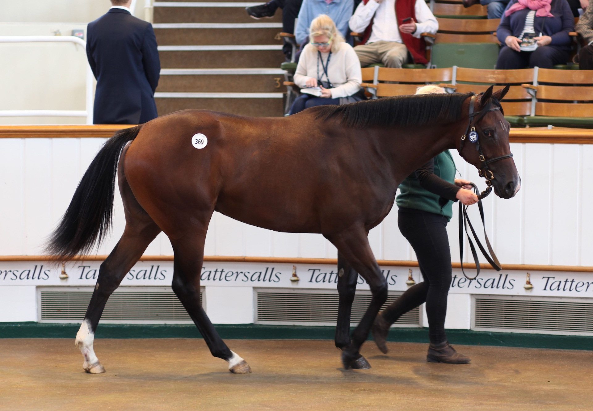 Half-Sister To Bolshoi Ballet Sells For 925000gns