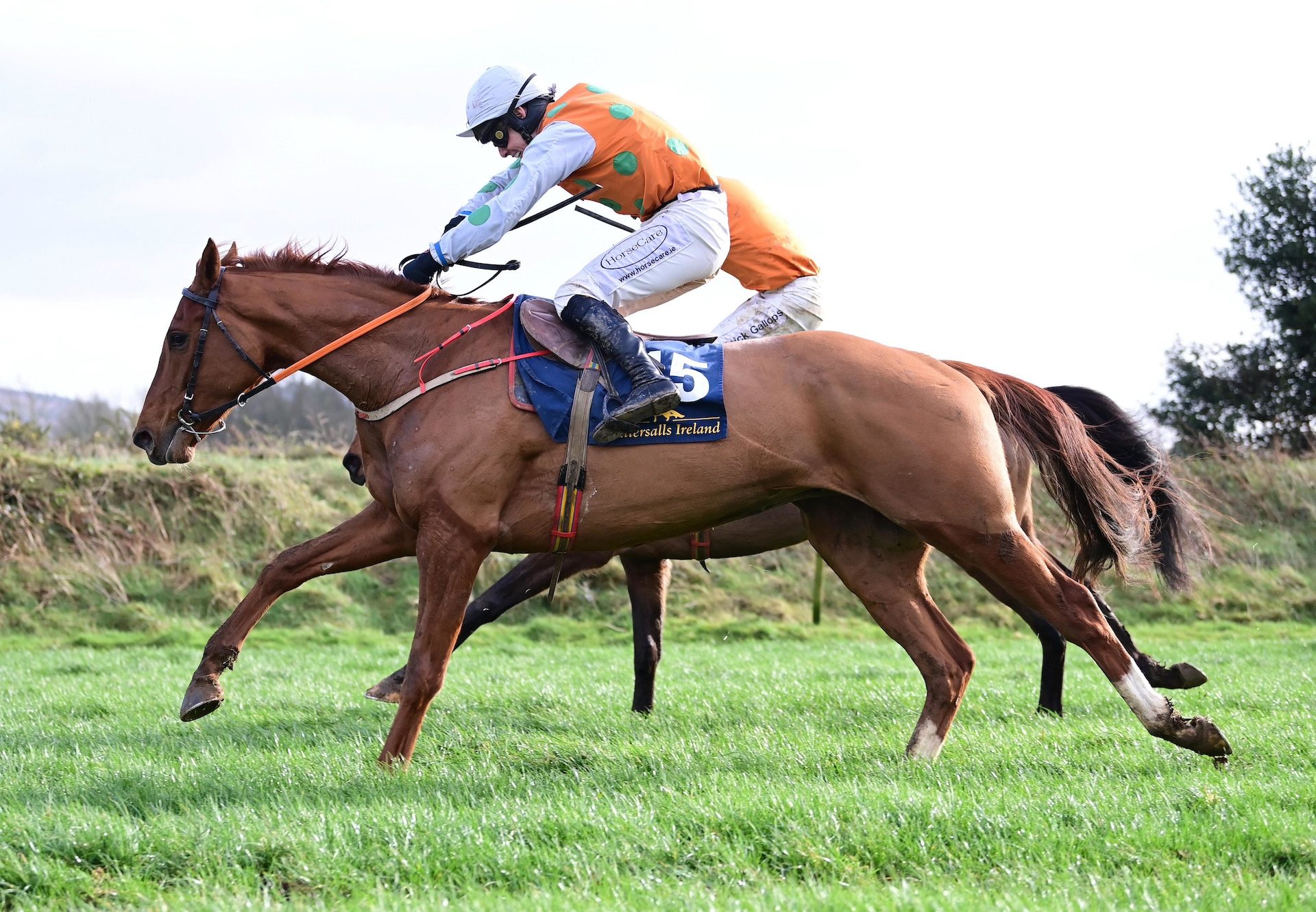 The Final Word (Getaway) Wins The 5YO Maiden At Ballinaboola