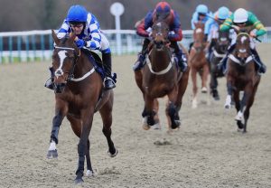 The Yellow Clay (Yeats) Wins The Grade 3 Monksfield Novice Hurdle