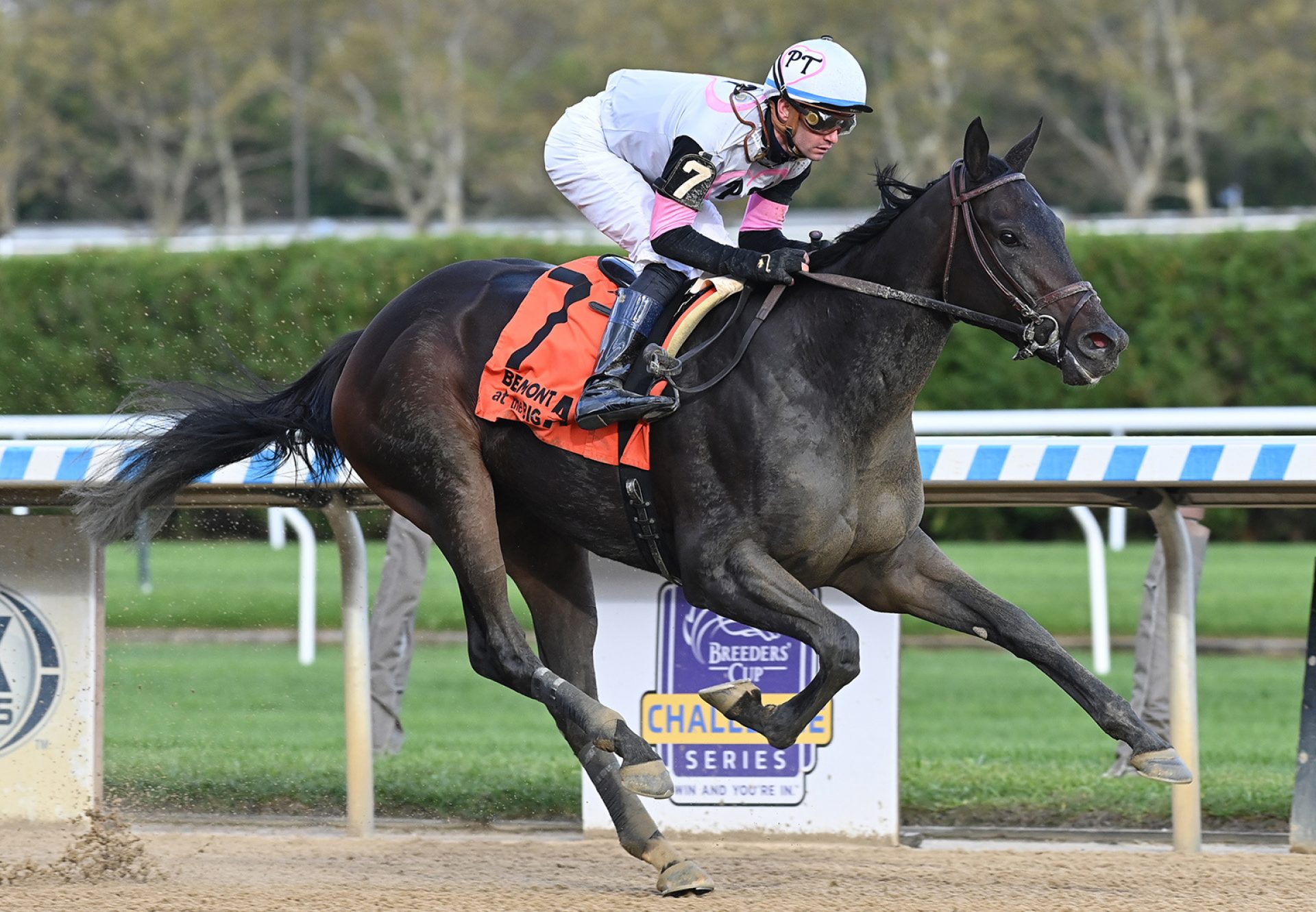 Jody's Pride (American Pharoah) Wins Matron Stakes at Keeneland