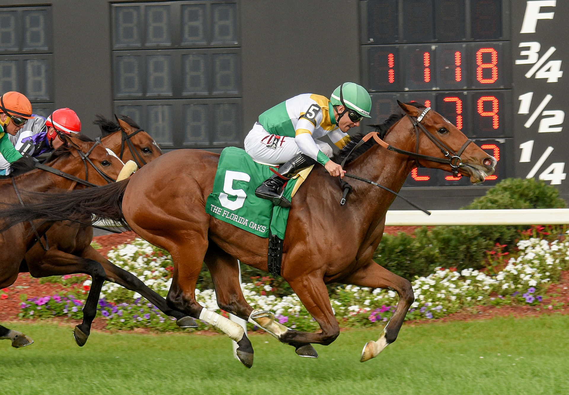 Waskesiu (American Pharoah) Gr.3 Florida Oaks at Tampa Bay