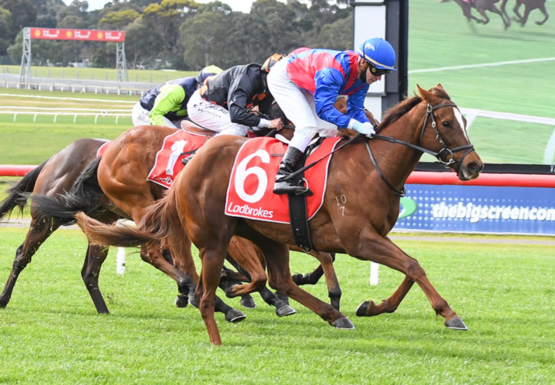 Peggy Selene (Rubick) winning at Sandown