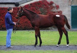 Rock ’N Swing (Camelot) Wins On Debut at Saint-Cloud