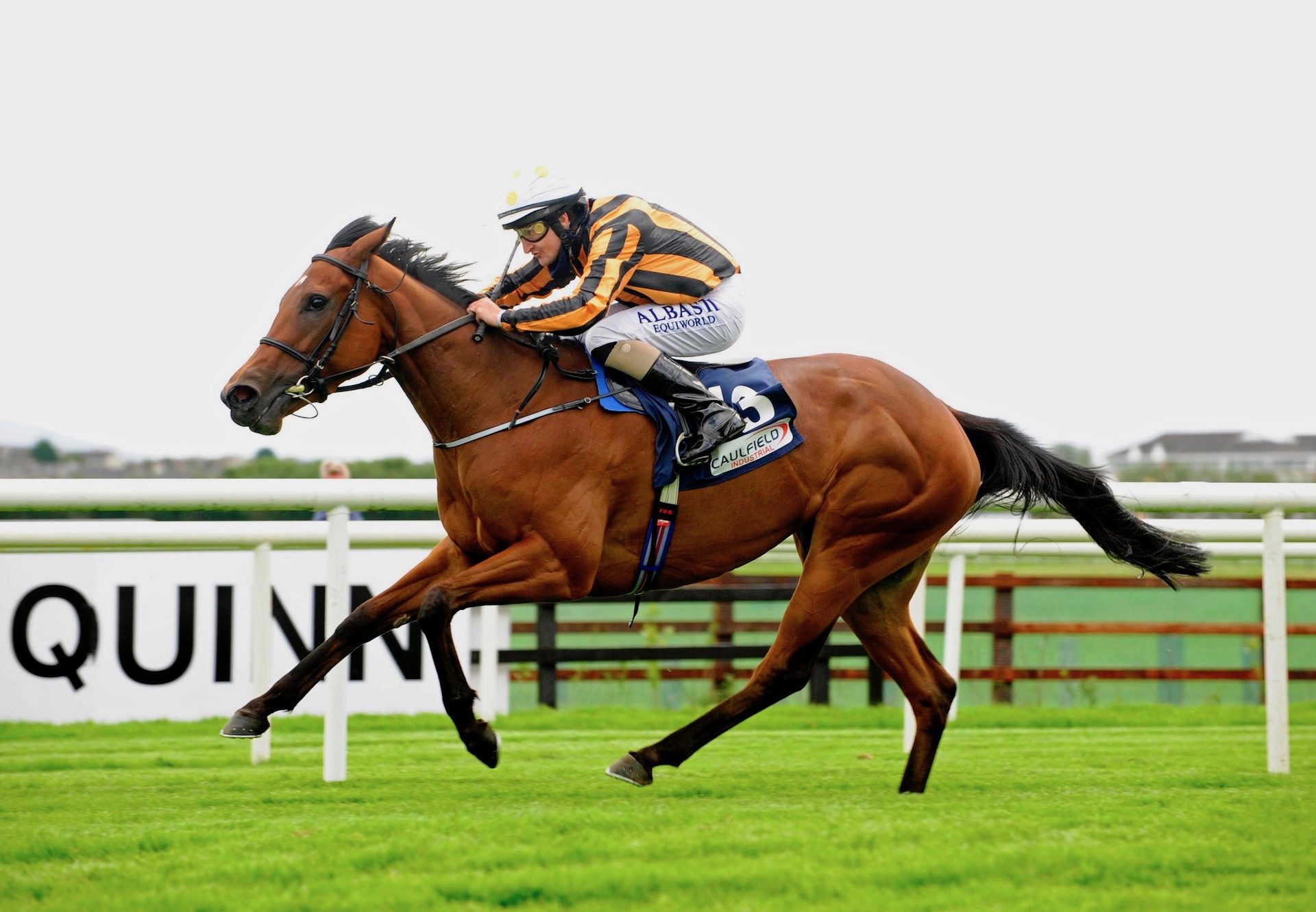 Rocket Science (Fastnet Rock) Wins Her Maiden At Galway