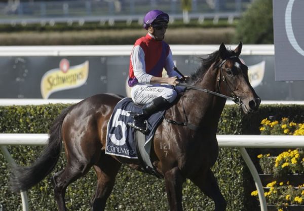 Exhibition (Vancouver) winning at Randwick