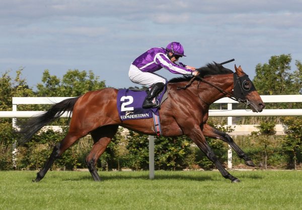 Delphi (Galileo) Wins The Listed Nijinsky Stakes at Leopardstown