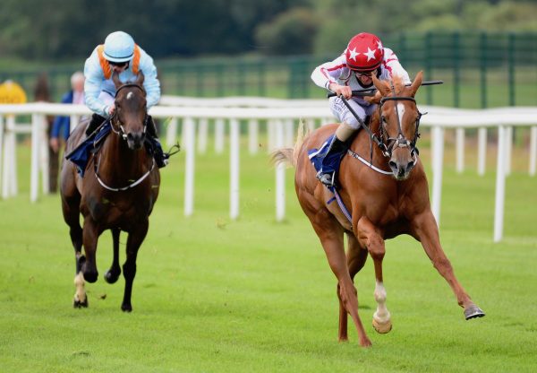 Dickiedooda (Starspangledbanner) Wins The Listed Tipperary Stakes at Cork