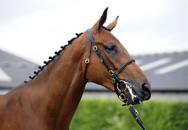 Alcohol Free (No Nay Never) Wins The Group 1 July Cup at Newmarket